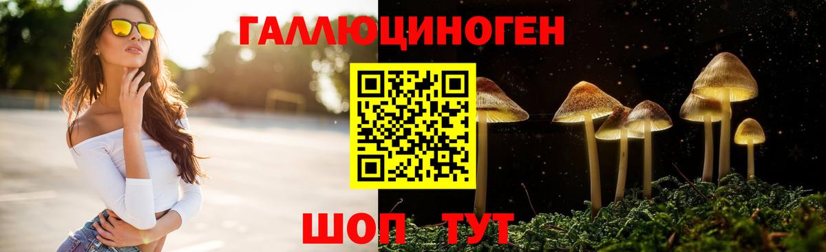 Галлюциногенные грибы Magic Shrooms  Вход с VPN  Златоуст  Псилоцибиновые грибы Psilocybe 